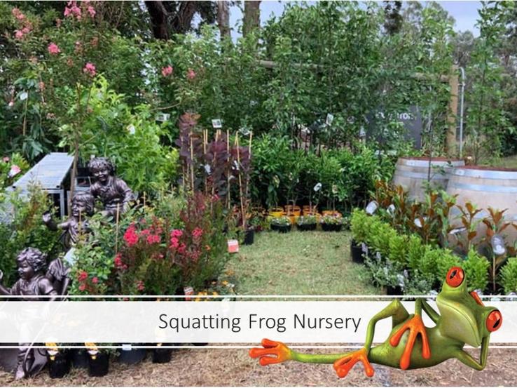 Squatting Frog Nursery